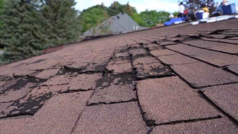 Cold Roofs in El Macero, CA